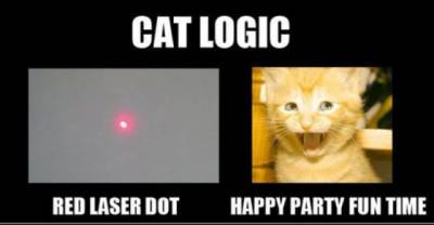 30 Hilarious Struggles Only Cat Owners Will Understand. #4 Really Made My Day Lol!