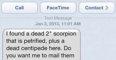 20 Funny Texts From Your Grandparents... They Are Totally Hilarious!