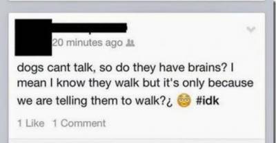 17 People So Dumb You Will Worry About The Human Race