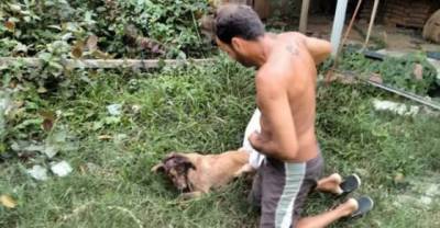 This Man Is A True Hero &mdash; Look What He Did For This Dog
