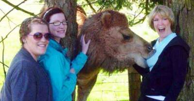 20 Crazy Oh Sh*t Moments You Can Not Forget