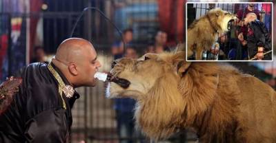 Insane Circus Performer Holds Blade In His Teeth While He Feeds A Lion!