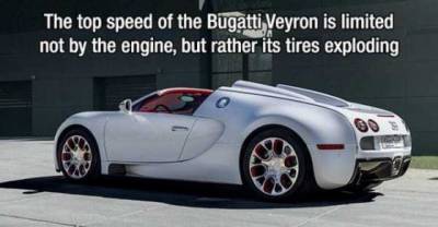 15 Cool Random Facts That You Might Find Interesting