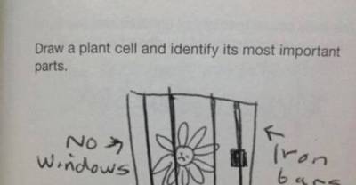 11 Funny Test Answers That Will Make You Laugh