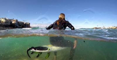 Amazing Shark-repelling Surfboard