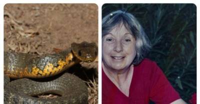 Heartbroken- 'I Think It May Be Too Late Darling, The Venom May Have Traveled Through By Now' Snake Bite Victim's Last Words Before She Died In Her Husband's Arms