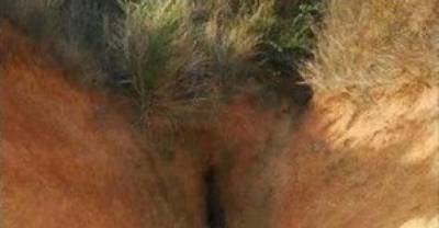 22 Pictures That You Only Think Are Dirty Because You Are A Pervert!