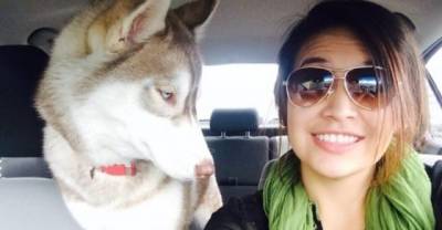 Animals Who Don't Approve Of Your Selfie Addiction
