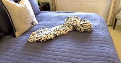 10 Pieces Of Towel Origami That Will Get You In The Mood