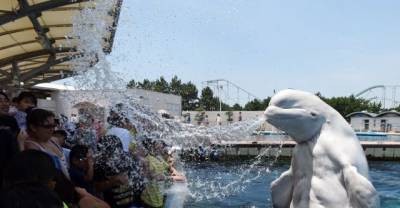 14 Absolutely Amazing Images