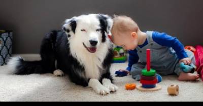 10 Reasons To Let Your Child Keep A Pet