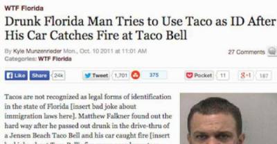 Florida-Man, What Are You High On?!
