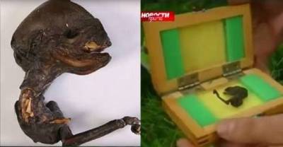 What These People Found In The Wilderness Has Russian Scientist Baffled!