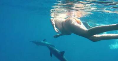 Hawaii Woman Announces Plan To Use Dolphin As A Midwife!