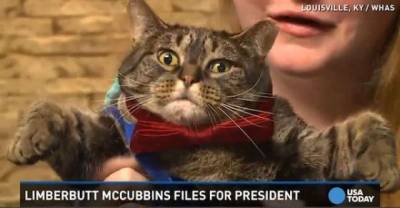 10 Of The Weirdest U.S. Presidential Candidates Ever
