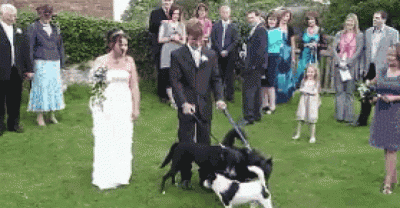 13 Silly GIFs Featuring Potty Humor