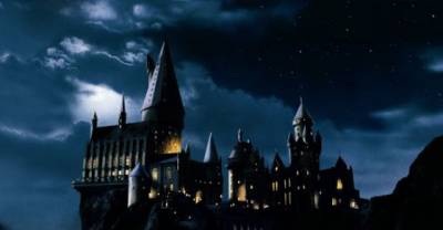 Harry Potter An Insane Asylum Patient? It Could Be True. Check Out The Evidence.