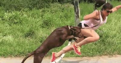20 Non Stop Laughing GIFS That Will Make Your Day
