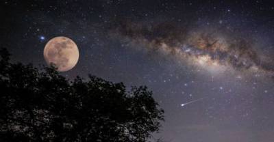You Can Rest In Peace On The Moon For $12,000