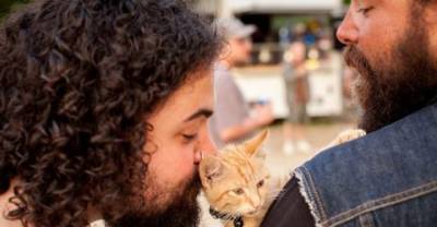 Biker Saves Injured Kitten and Continues His Trip While Caring for Him