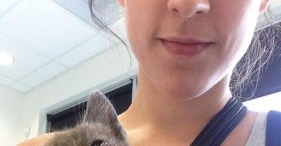 A Woman Went For A Jog And Found A Stray Kitten Who Desperately Needed Love