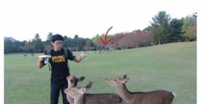 11 People Who Failed Harder Than You Ever Thought Possible