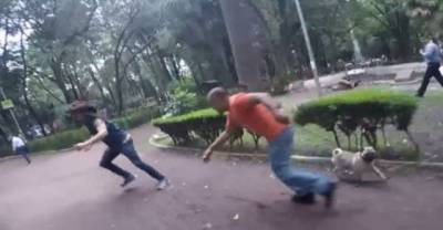 Out Of Control Mexican Pranksters Rub Dog Sh*t On People & Pie Them In The Face!