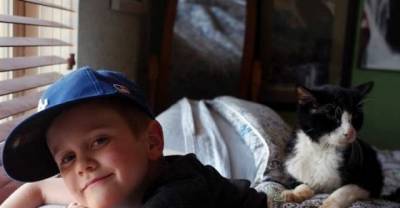 20 Year Old Cat, Dexter, Finds New Home And Has So Much Love To Give