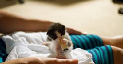 They Found A Tuxedo Baby When She Was Less Than 12 Hours Old. This Is How They Changed Her Life...