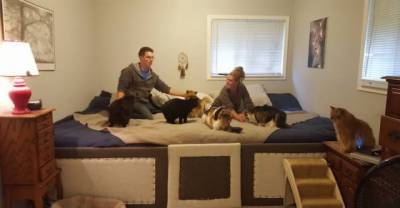 This Couple Created A 75-foot Mega Bed To Sleep With Their Pets.