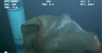 A Camera Caught This Terrifying Creature In The Deep Ocean. Now I'm Never Sleeping Again!