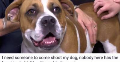 A Woman Posted On Facebook Asking For Someone To Shoot Her Dog. The Only Reply Was From The Cops.