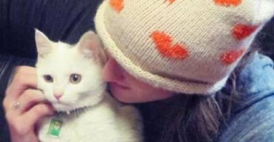 When A Frightened Kitten Found In The Pouring Rain Felt Love, Everything Changed..