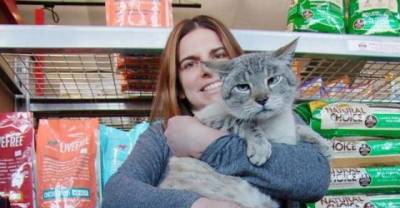 Andre the Giant 25lb Stray Becomes Store Cat !!!