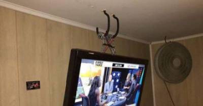 These Redneck Rigs Are Amazingly Effective!