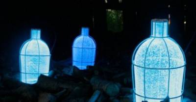 Gorgeous Energy-Absorbing Trap Light Never Needs to be Plugged In