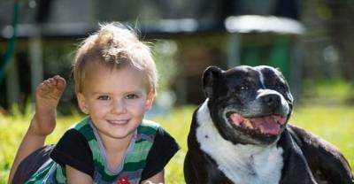 Boy Saved By Dog From Drowning In The Dam Near Coff's Harbour!