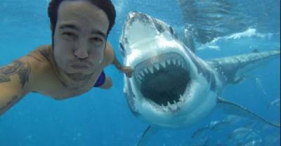 More People Have Died From Selfie-related Accidents Than Shark Attacks In 2015