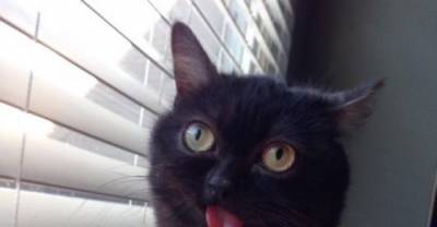 He&rsquo;s Always Happy and His Tongue Always Sticks Out