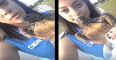 This Girl Told The Whole World How She Tried To Save A Turtle, Turns Out It Was A Tortoise And Things Didn't Go Very Well.