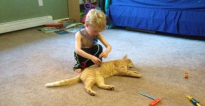 Boy Tucks In His Adopted Cat Every Time He Naps So He Knows He Has A Forever Home