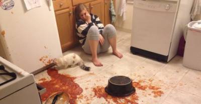 16 Cats Who Just Want To Watch The World Burn