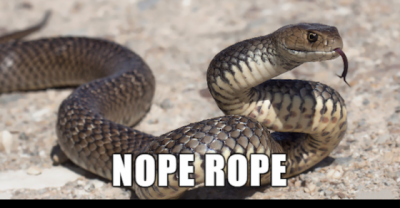 If Stoners Were In Charge Of Naming The Animals.