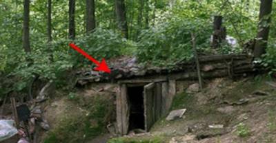 The Shocking Reality Of Living In The Woods - Now Revealed!