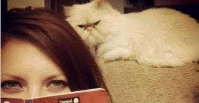 When You See These 13 Evil Signs In Your Cat, It's Better To Run Away!