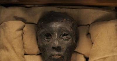 Pictures Of Mummified Family Tree Of King Tutankhamun And Queen Nefertiti Revealed