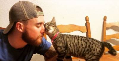 29 Times Cats Made The World A Better Place