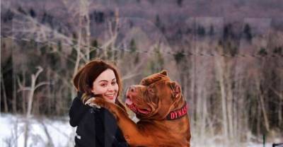 173-Pound Pit Bull Named &ldquo;The Hulk&rdquo; Definitely Lives Up to His Name