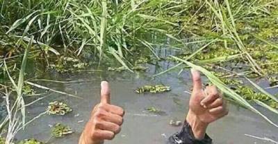 16 Funny Pictures To Show People When They Ask You How Life Is Going And It Actually Sucks!