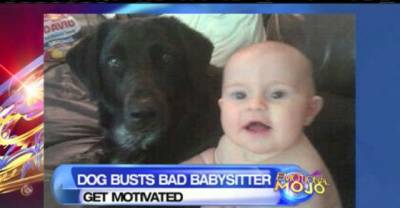 This Babysitter Abused 8-Month-Old Baby But The Dog Saved The Day